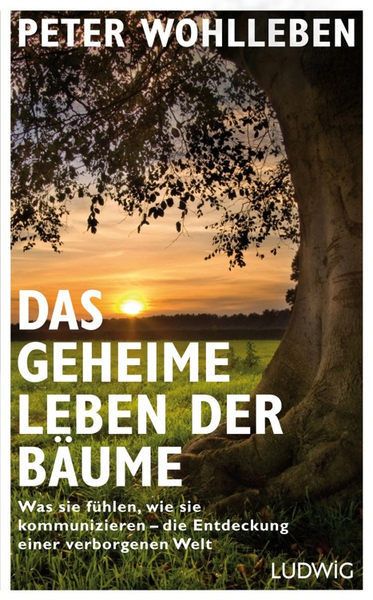 Titelbild zum Buch: Das geheime Leben der Bäume